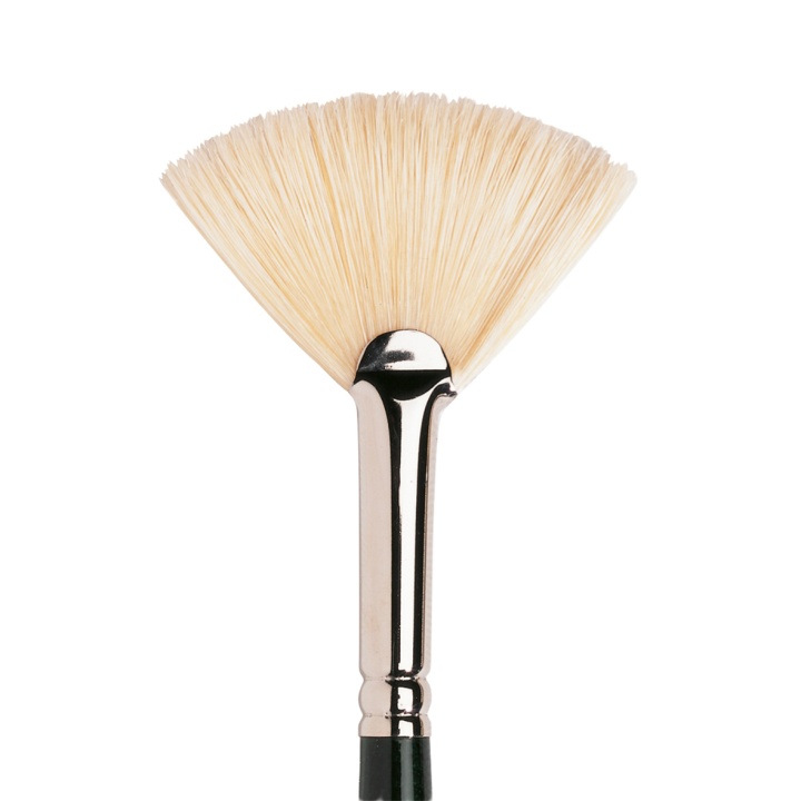 Winton Hog Brush Fan 8 in the group Art Supplies / Brushes / Natural Hair Brushes at Pen Store (107664)