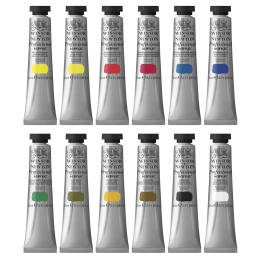 Professional Acrylic Tube Set 12 x 20 ml in the group Art Supplies / Artist colours / Acrylic Paint at Pen Store (108805)